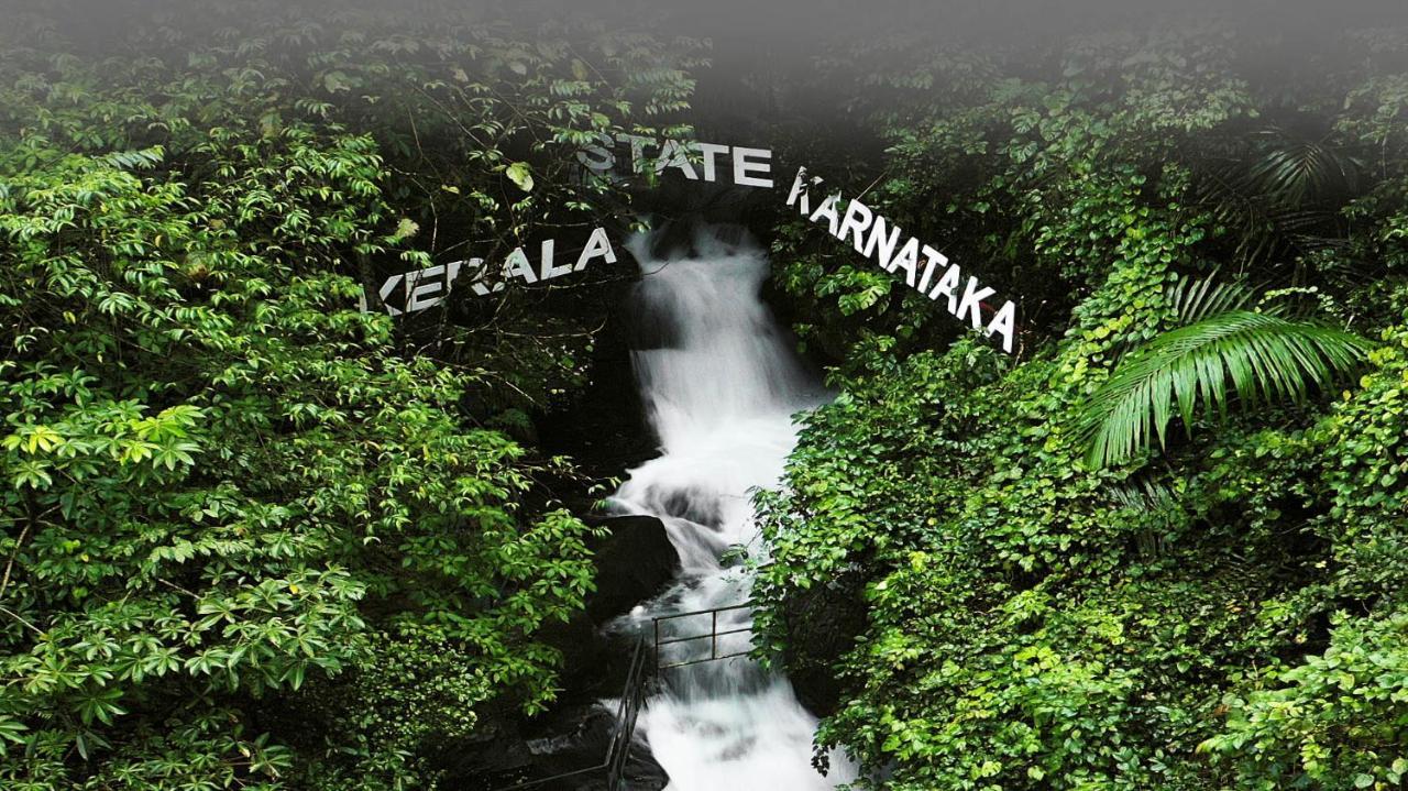 Holistic Stay Eco-Resort & Ayurvedic Retreat Paithalmala Экстерьер фото