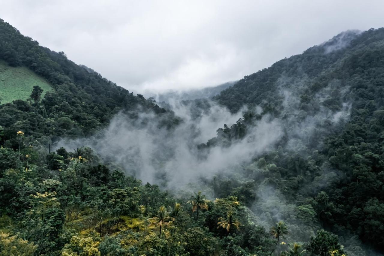 Holistic Stay Eco-Resort & Ayurvedic Retreat Paithalmala Экстерьер фото